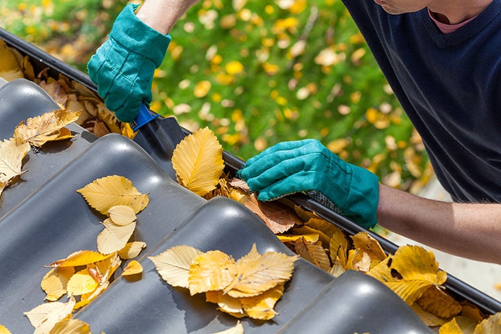 Gutter Cleaning in Austin, Texas